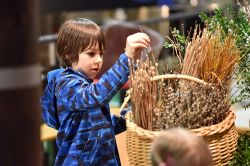 Ostermarkt 2017 04  Wolfgang Spitzbart